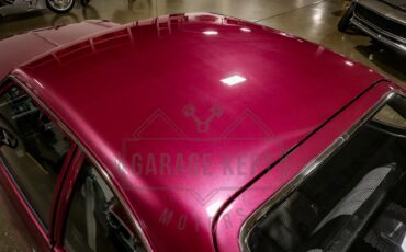 American-motors-Hornet-1974-Plum-Metallic-Black-40