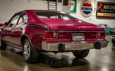 American-motors-Hornet-1974-Plum-Metallic-Black-41