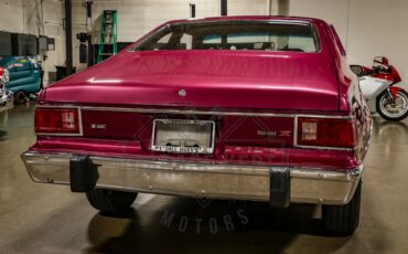 American-motors-Hornet-1974-Plum-Metallic-Black-43