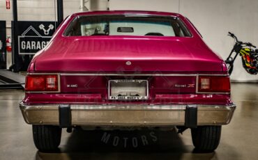 American-motors-Hornet-1974-Plum-Metallic-Black-44