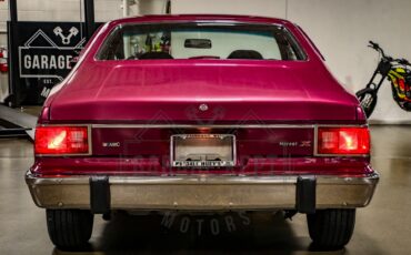 American-motors-Hornet-1974-Plum-Metallic-Black-45