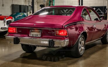 American-motors-Hornet-1974-Plum-Metallic-Black-48