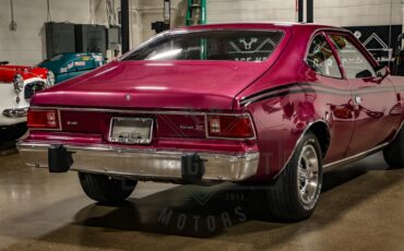 American-motors-Hornet-1974-Plum-Metallic-Black-49