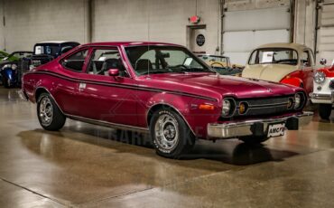American-motors-Hornet-1974-Plum-Metallic-Black-5
