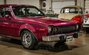 American-motors-Hornet-1974-Plum-Metallic-Black-6