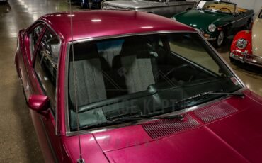 American-motors-Hornet-1974-Plum-Metallic-Black-8