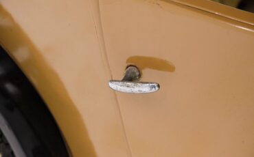 Austin-Seven-1929-Mustard-yellow-Yellow-22