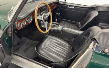 Austin-healey-3000-1967-British-Racing-Green-Black-49