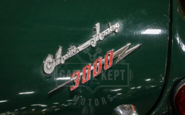 Austin-healey-3000-1967-Green-Black-40