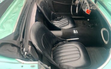 Austin-healey-Other-1956-Green-Black-3