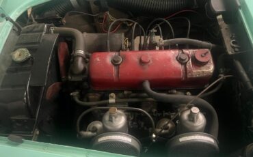 Austin-healey-Other-1956-Green-Black-4