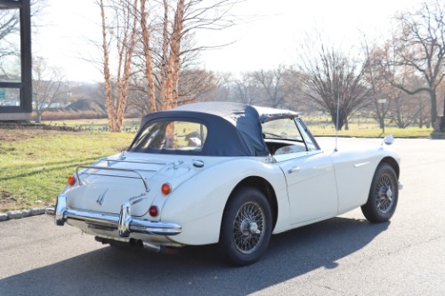 Austin-healey-Other-1966-White-Blue-3