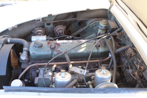 Austin-healey-Other-1966-White-Blue-4