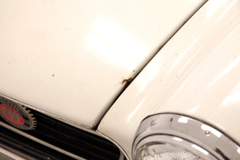 Austin-healey-Sprite-1966-Old-English-White-Black-26