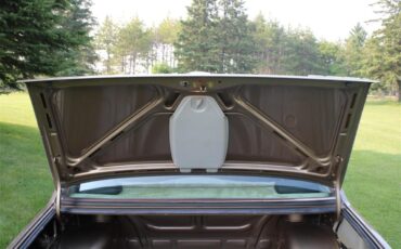 Bmw-320i-1983-Bahama-Beige-Beige-12