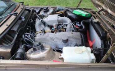 Bmw-320i-1983-Bahama-Beige-Beige-16