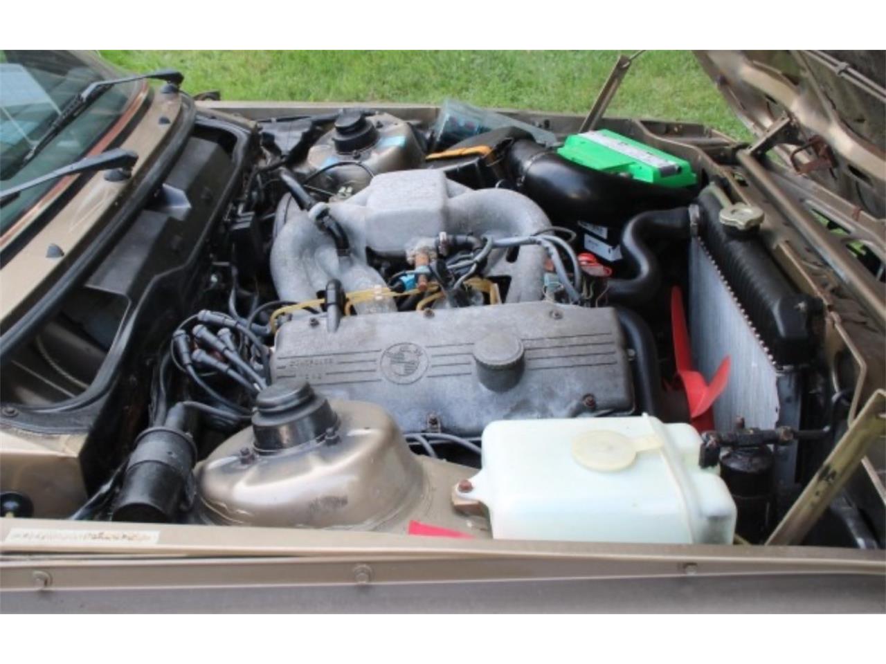 Bmw-320i-1983-Bahama-Beige-Beige-16