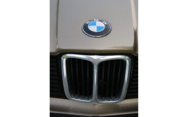 Bmw-320i-1983-Bahama-Beige-Beige-19