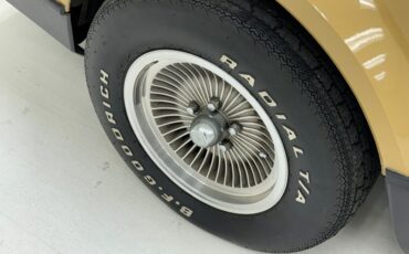 Bricklin-Sv-1-1975-Suntan-Saddle-14