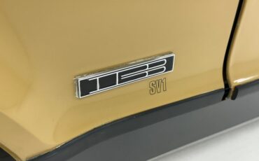 Bricklin-Sv-1-1975-Suntan-Saddle-15