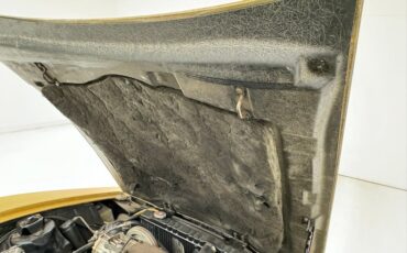 Bricklin-Sv-1-1975-Suntan-Saddle-26