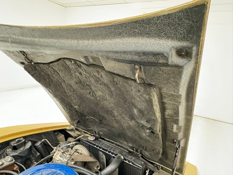 Bricklin-Sv-1-1975-Suntan-Saddle-26