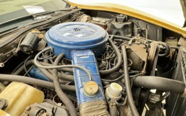 Bricklin-Sv-1-1975-Suntan-Saddle-28