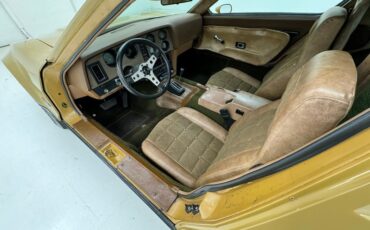 Bricklin-Sv-1-1975-Suntan-Saddle-30