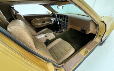 Bricklin-Sv-1-1975-Suntan-Saddle-32