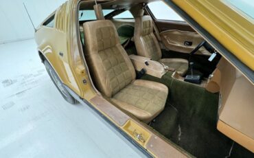 Bricklin-Sv-1-1975-Suntan-Saddle-33