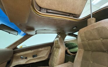 Bricklin-Sv-1-1975-Suntan-Saddle-35