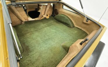 Bricklin-Sv-1-1975-Suntan-Saddle-38