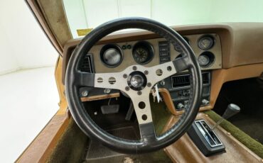 Bricklin-Sv-1-1975-Suntan-Saddle-39