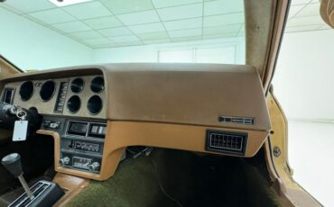 Bricklin-Sv-1-1975-Suntan-Saddle-43