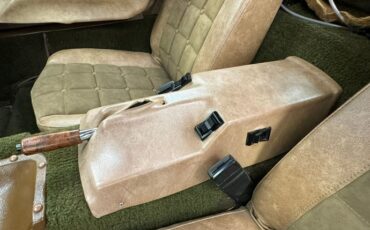 Bricklin-Sv-1-1975-Suntan-Saddle-45