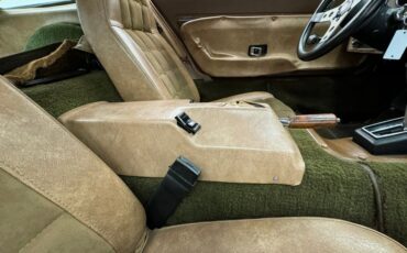 Bricklin-Sv-1-1975-Suntan-Saddle-46