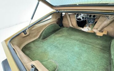 Bricklin-Sv-1-1975-Suntan-Saddle-6