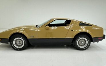 Bricklin-Sv-1-1975-Suntan-Saddle-8