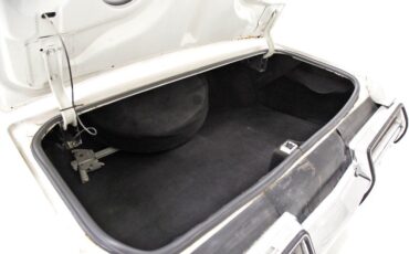 Buick-Centurion-1973-White-Saddle-33