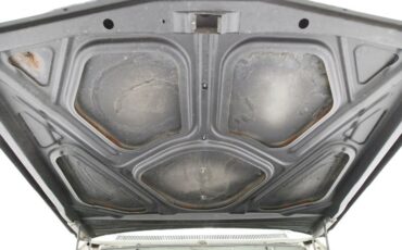 Buick-Electra-225-1963-Willow-Green-Ivory-21