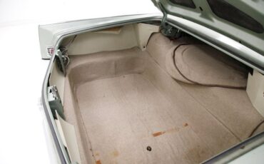 Buick-Electra-225-1963-Willow-Green-Ivory-5