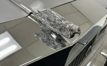 Buick-Electra-225-1975-Silver-Mist-Burgundy-1