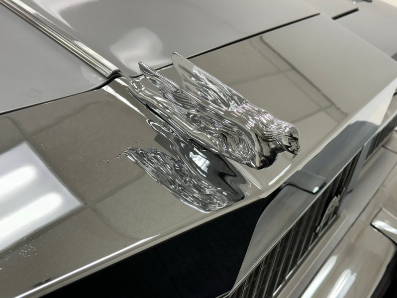 Buick-Electra-225-1975-Silver-Mist-Burgundy-1