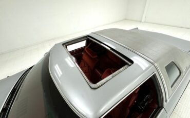 Buick-Electra-225-1975-Silver-Mist-Burgundy-2