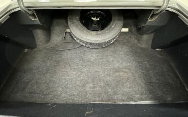 Buick-Electra-225-1975-Silver-Mist-Burgundy-23