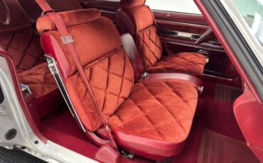 Buick-Electra-225-1975-Silver-Mist-Burgundy-28
