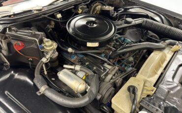 Buick-Electra-225-1975-Silver-Mist-Burgundy-3