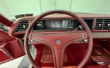 Buick-Electra-225-1975-Silver-Mist-Burgundy-31