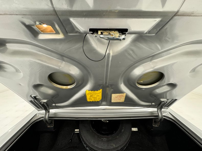 Buick-Electra-225-1975-Silver-Mist-Burgundy-4