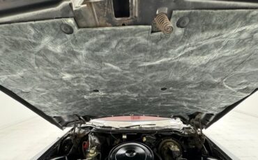 Buick-Electra-225-1975-Silver-Mist-Burgundy-41